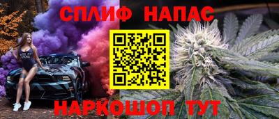 индика Кунгур