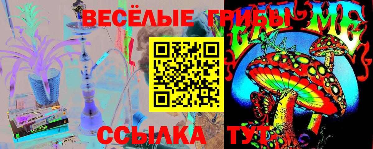 Псилоцибиновые грибы Psilocybine cubensis Камышлов