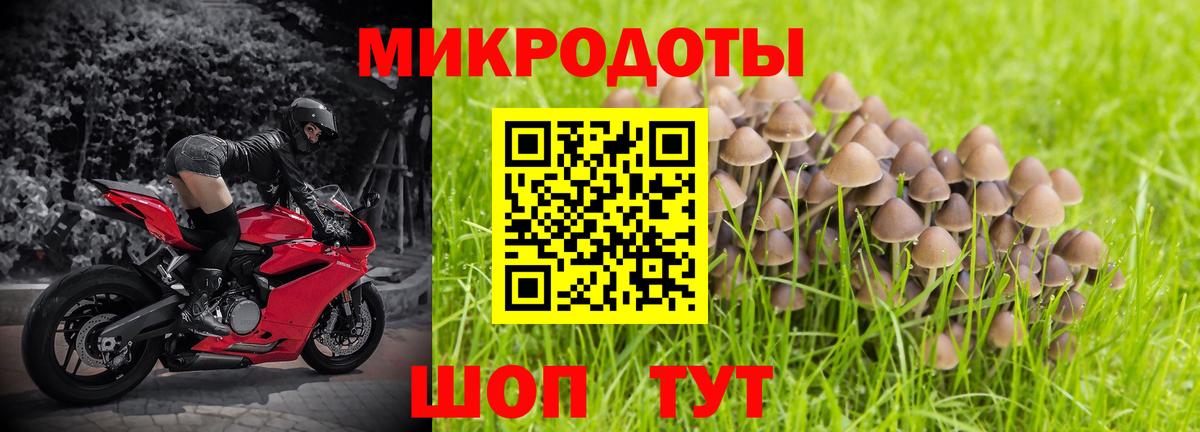 Камышлов  Галлюциногенные грибы мицелий  Вход с VPN 