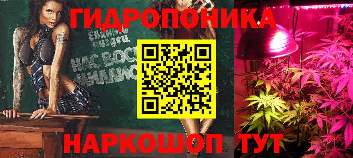 Бошки Шишки OG Kush Камышлов